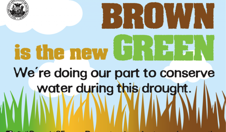 Cartoon image depicting dry grass with the phrase "Brown is the new green; we're doing our part during the drought." 