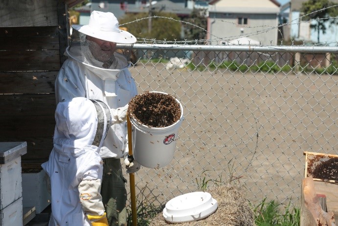 craig Petersen beekeeper