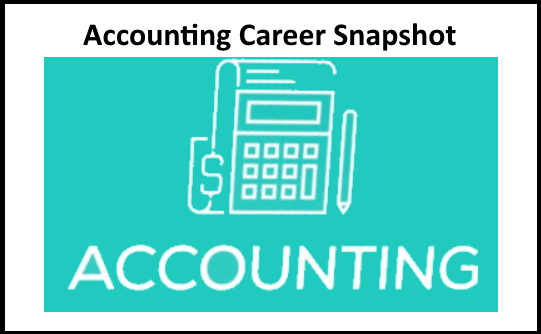 Accounting Snapshot picture