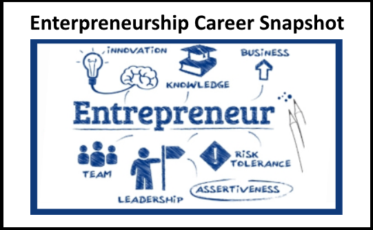 Enterpreneurship Snapshots picture