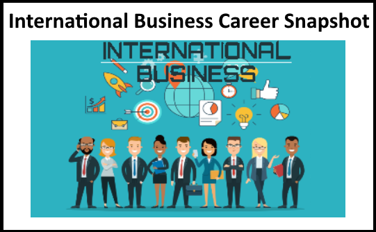 International Business Snapshot picture