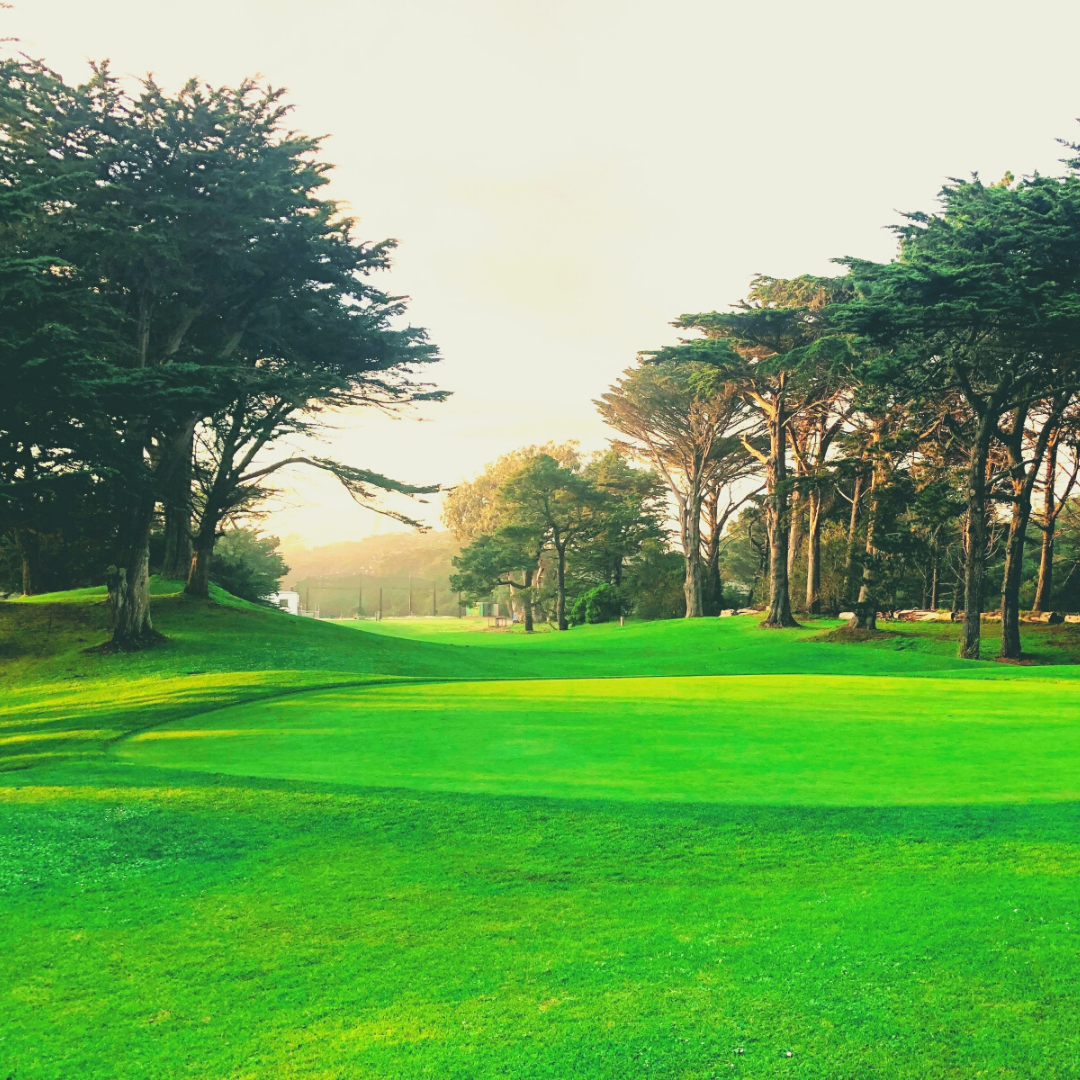 Golf Course Golden Gate Park