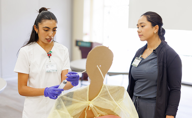 Medical students working on a lab