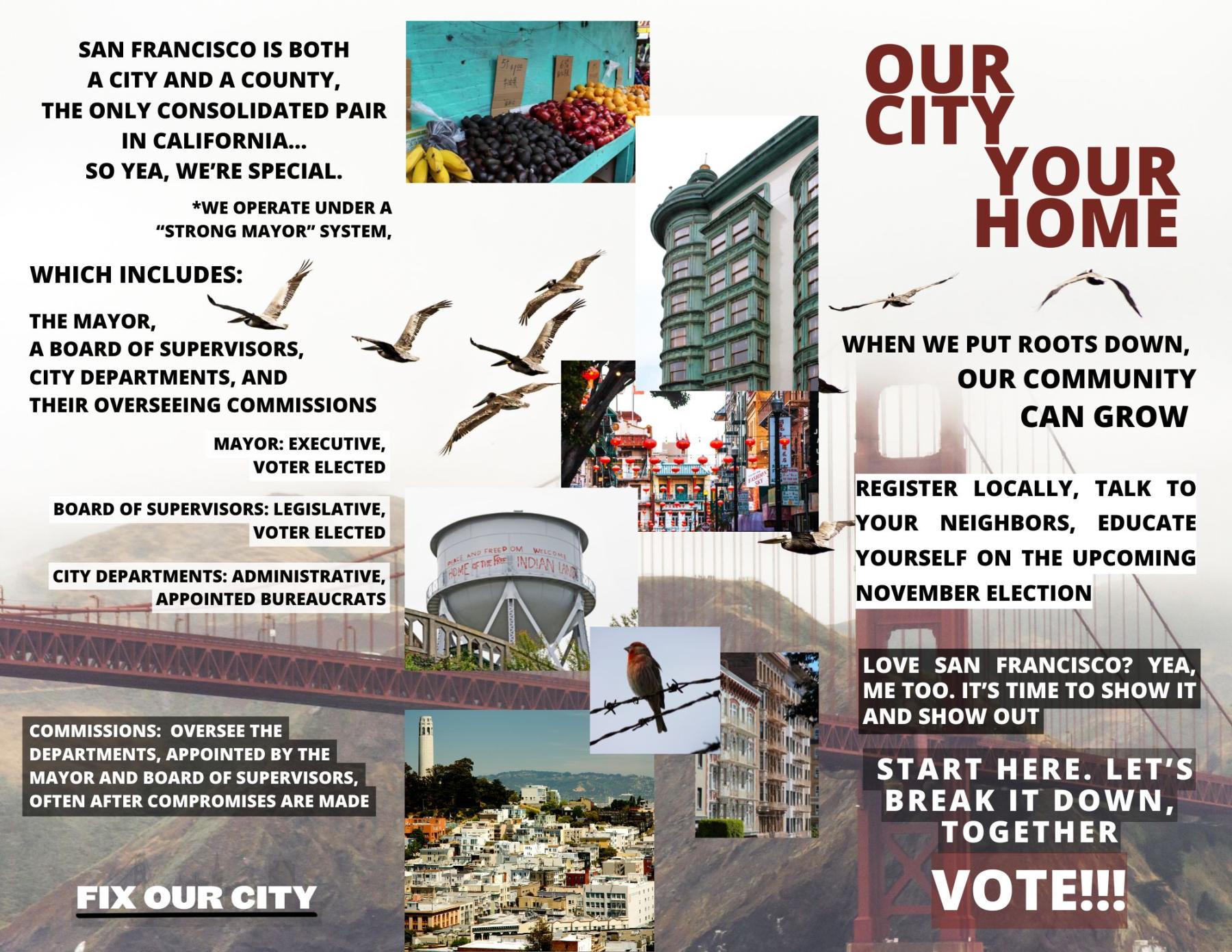 voting in sf cover