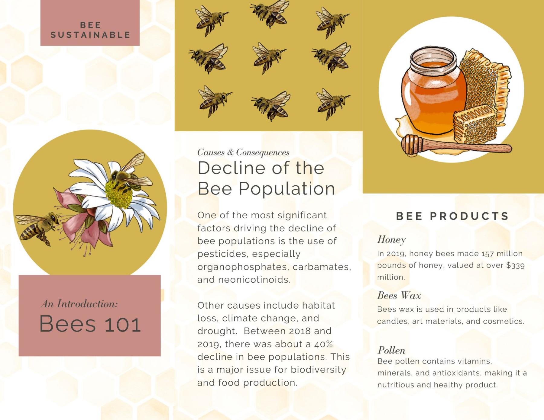 bee 101 cover