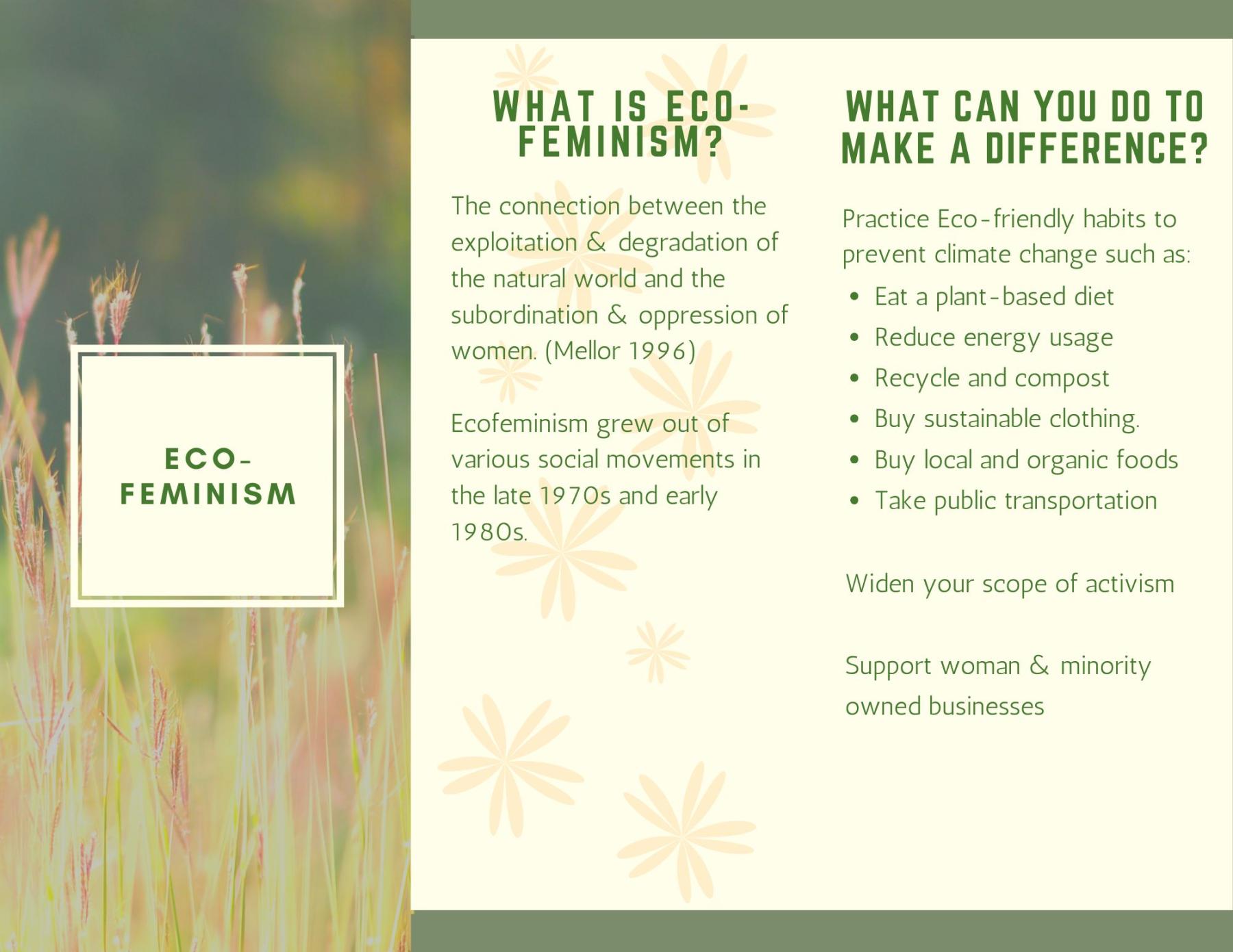 Ecofeminism cover