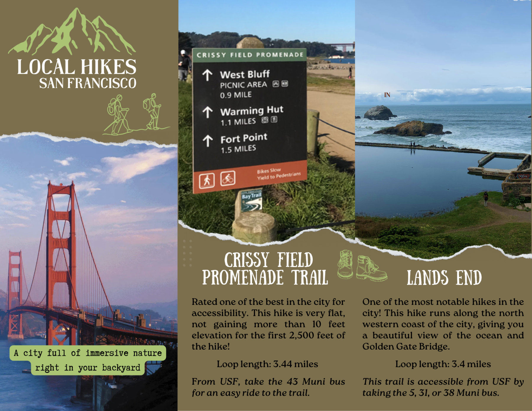 local hikes cover