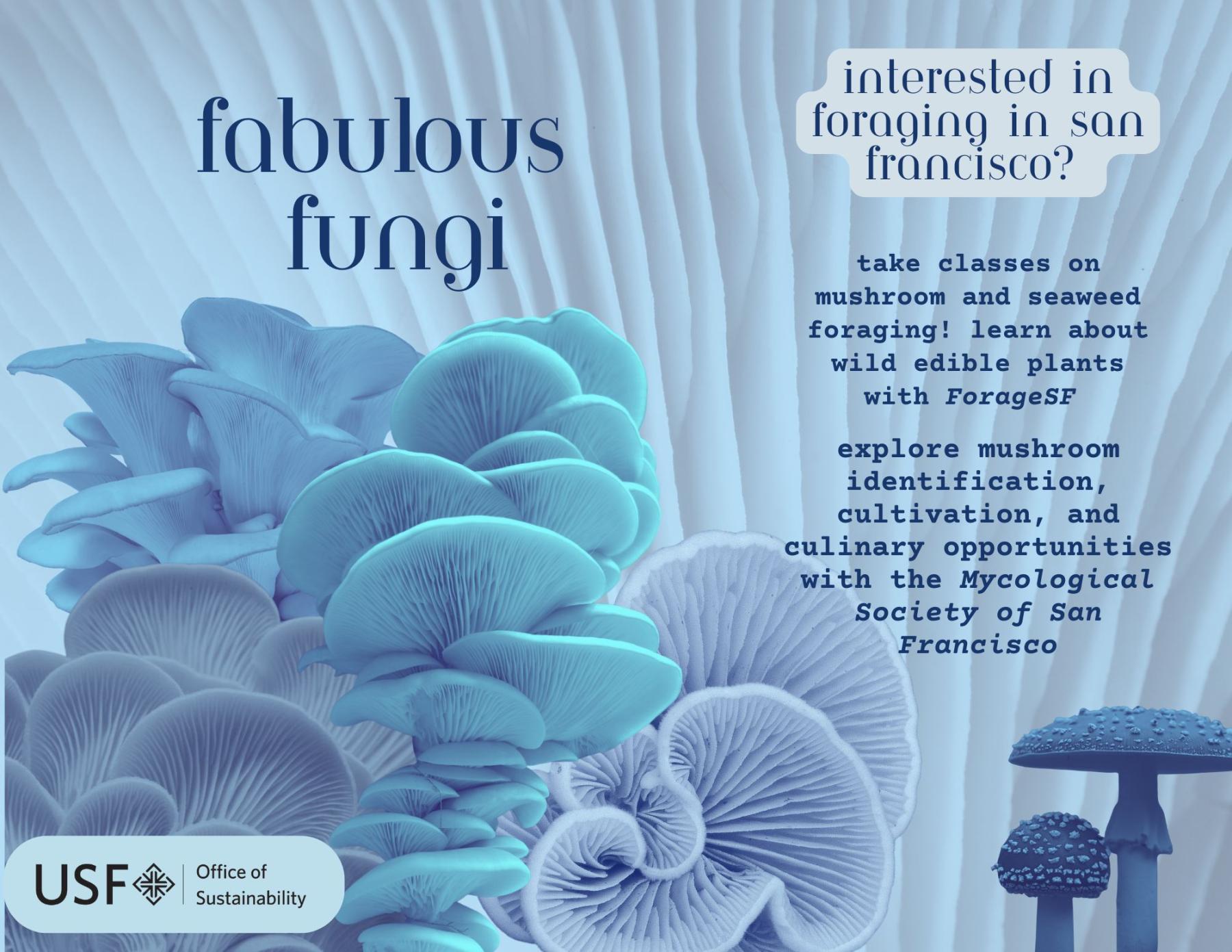 mushroom guide cover