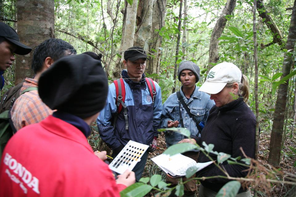 Several students having class in a forest