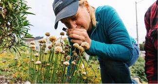 Coffman examining flowers