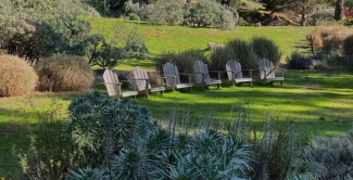 chairs outside in a park setting