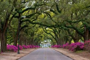 Campus of Spring Hill College