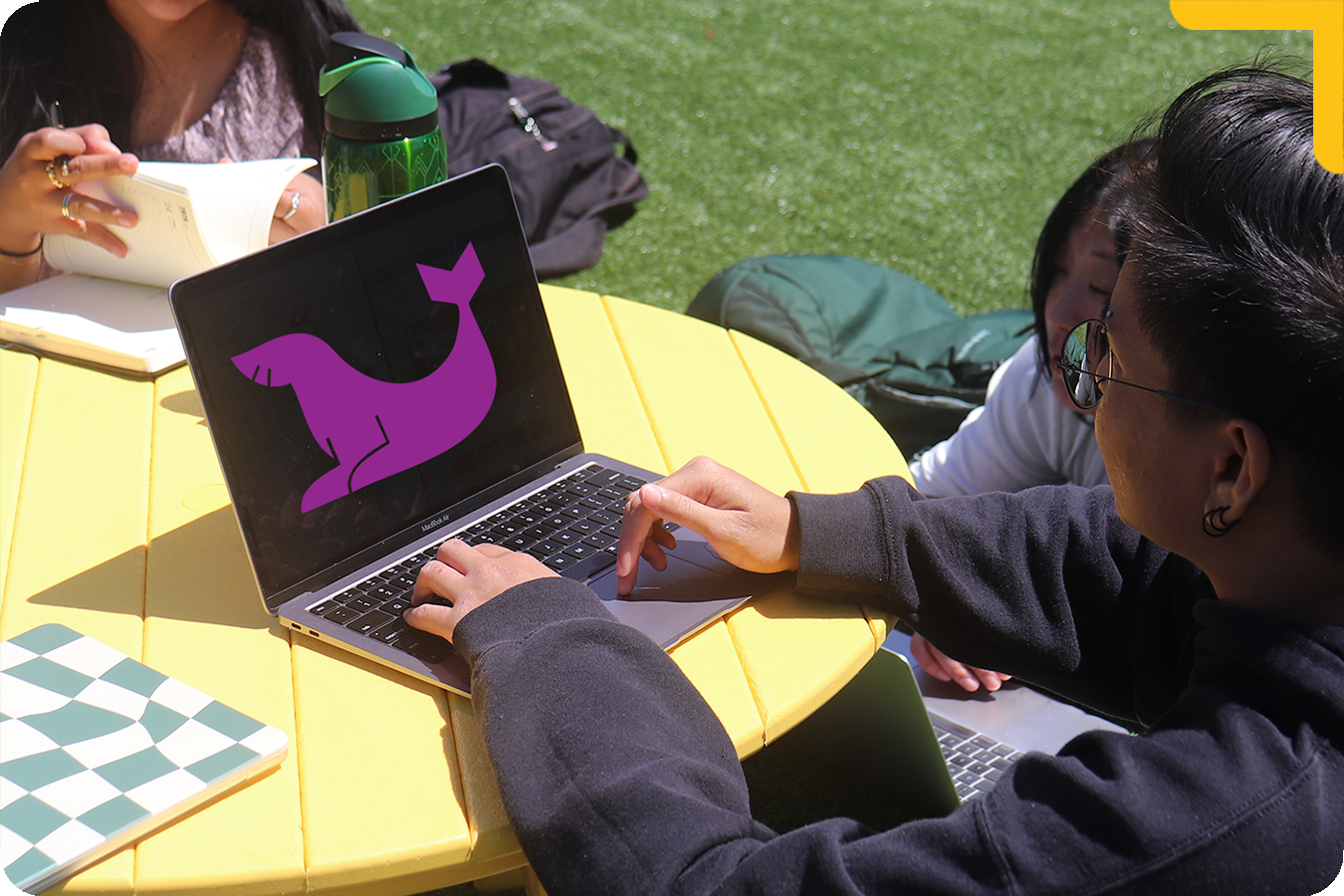 "Student using laptop with purple sea lion on screen "