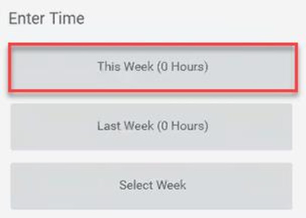 Enter Time in Workday