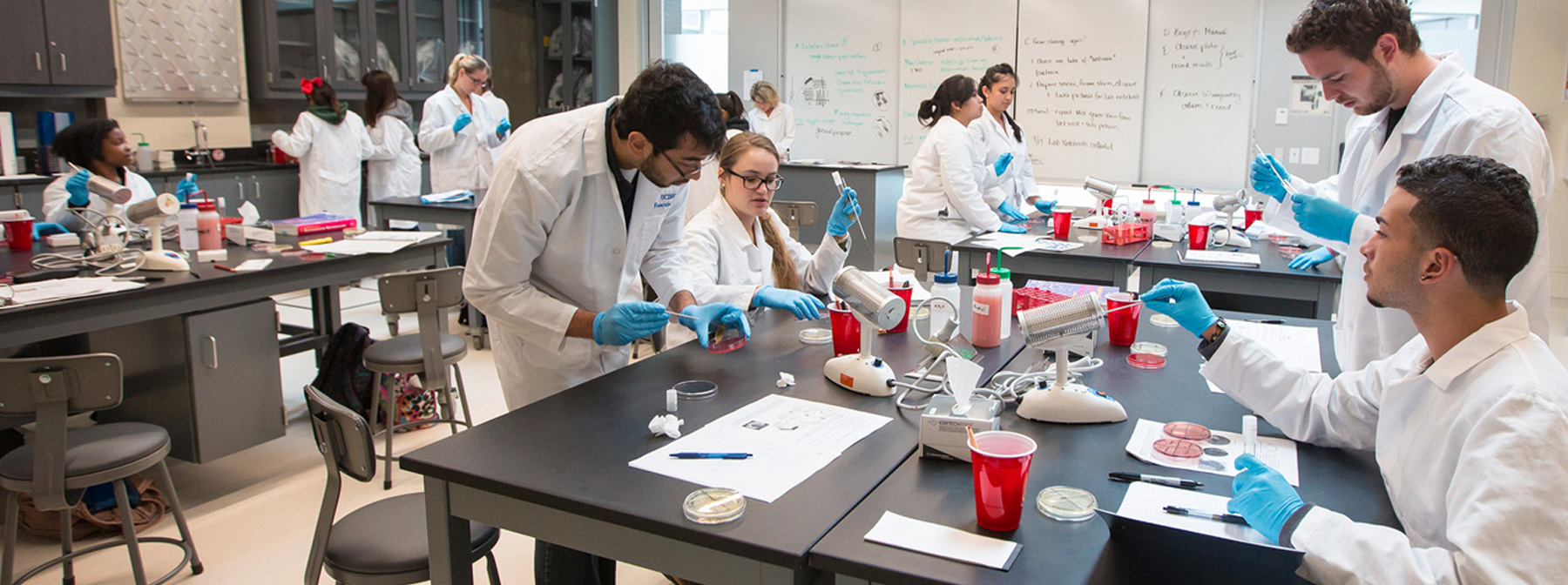 students working in lab