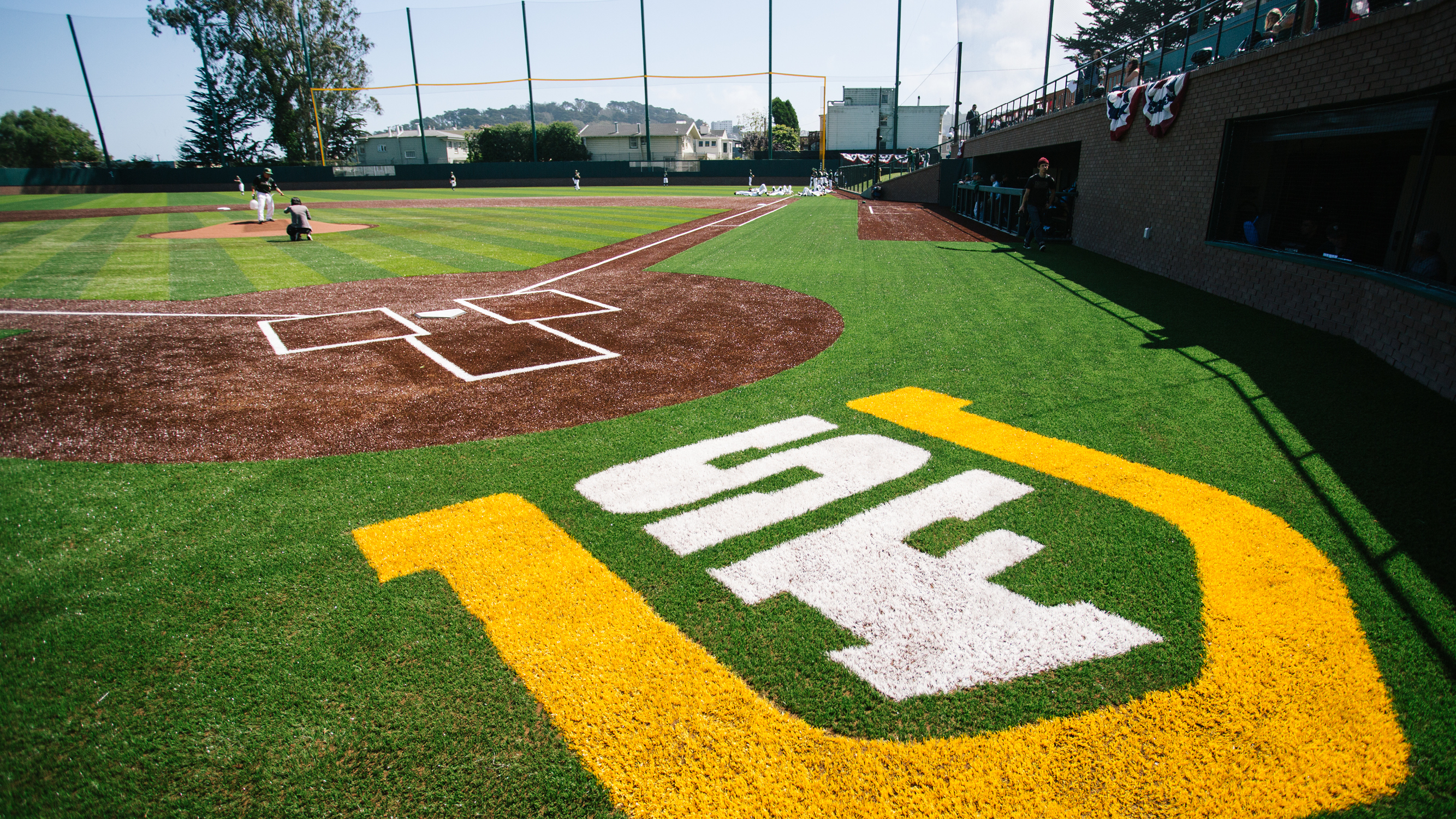 USF baseball diamond