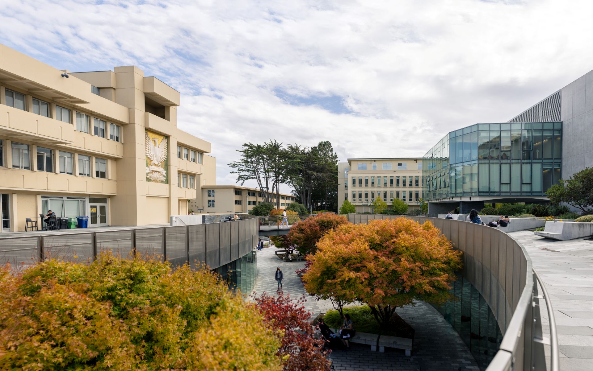 USF lower campus