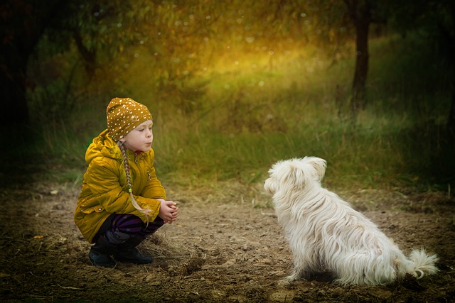 dog and person