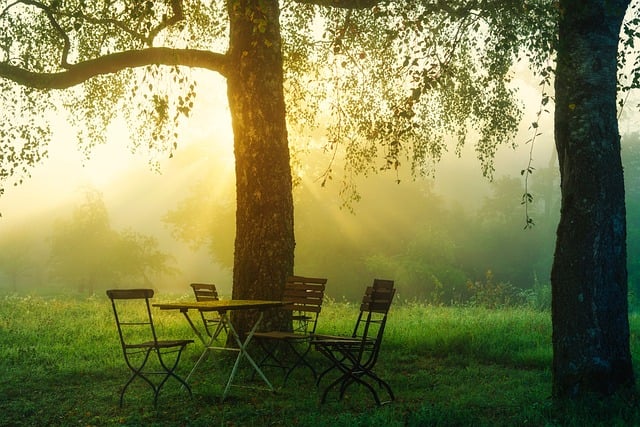 chairs in nature