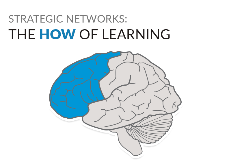Strategic networks: The how of learning