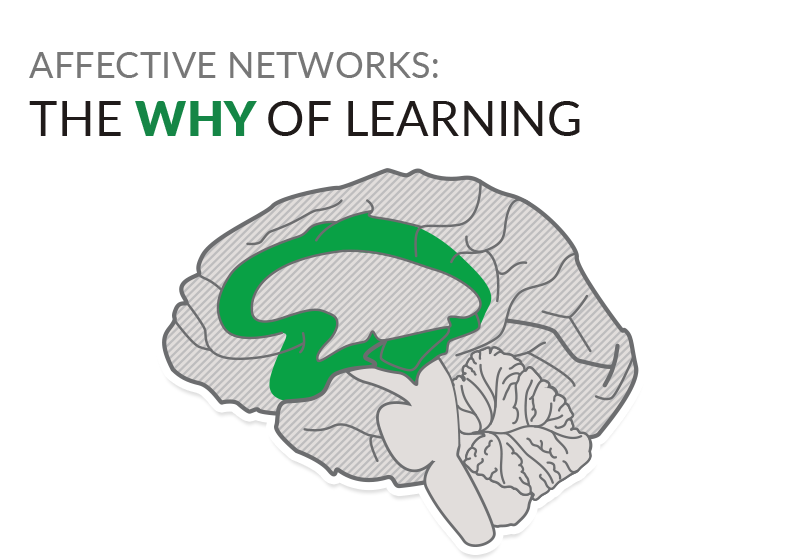 Affective networks: The why of learning