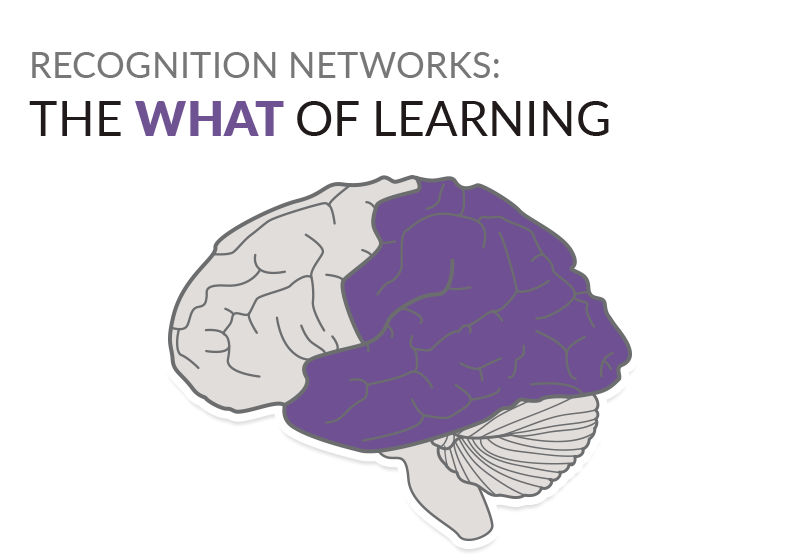 Recognition networks: The what of learning