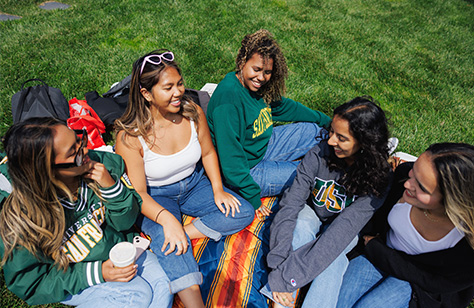Five USF students sitting in the grass, chatting