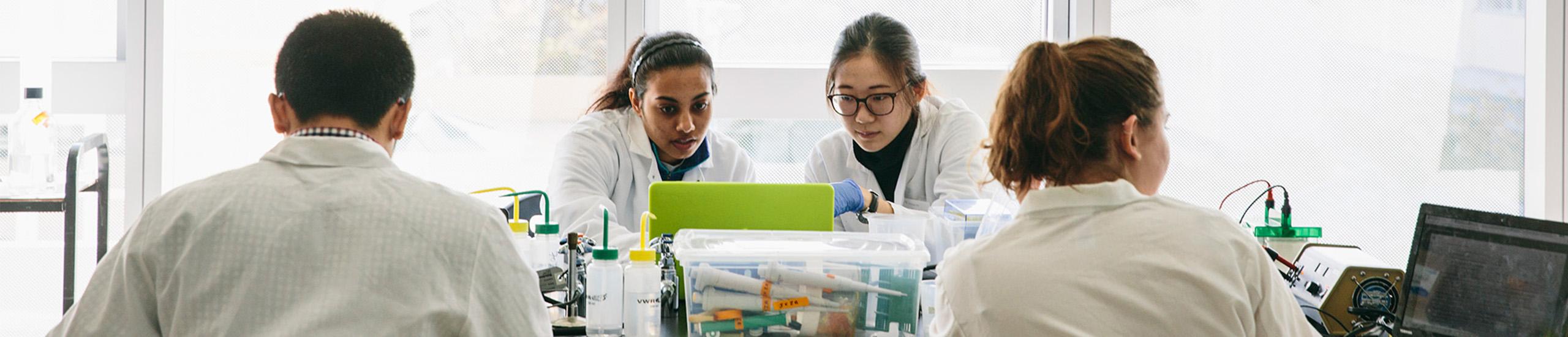 Students in a laboratory class
