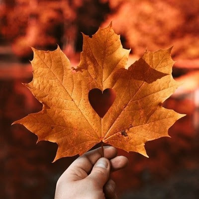 Hands holding leaf with a heart in the center