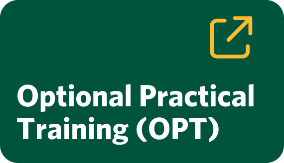 Button for Optional Practical Training (OPT)