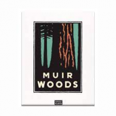 Muir woods