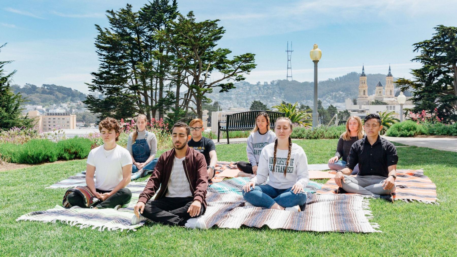 eight students meditating on lone mountain grass