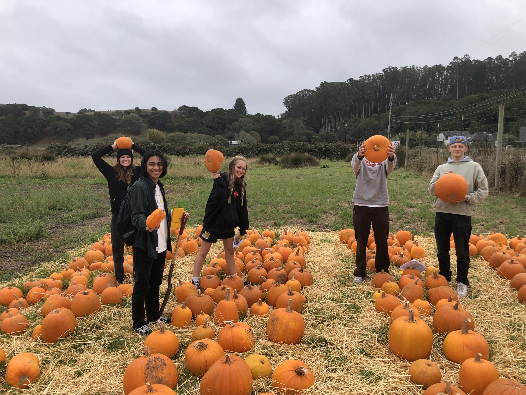 A group of Environmental Science students posing with pumpkins on a field trip to Star Route Farms.