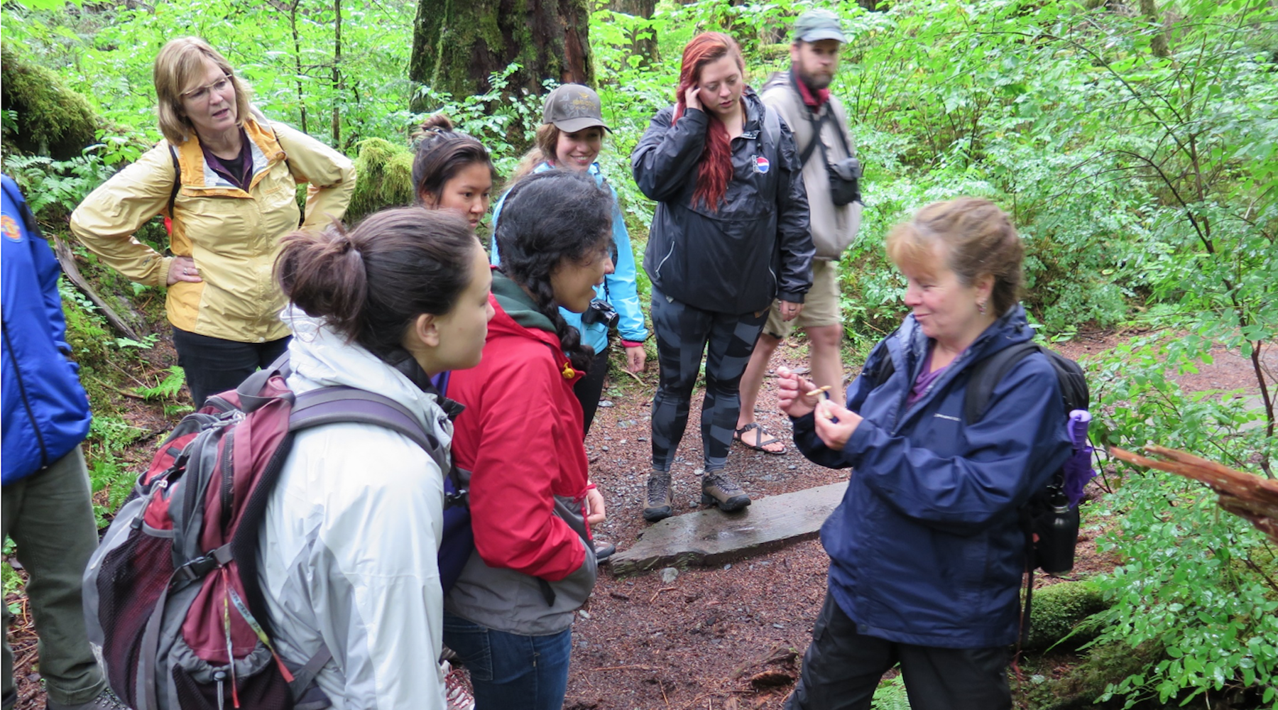 into the wild: students look at plants and fungi