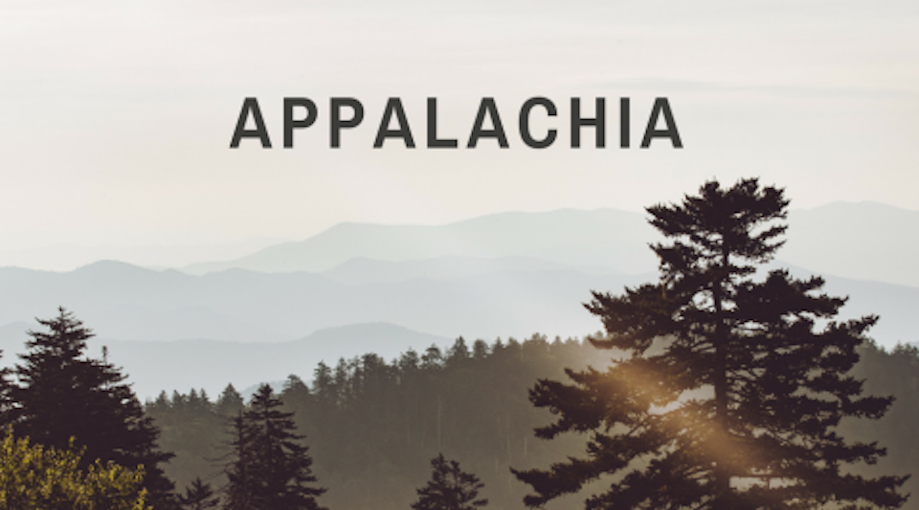 picture of forest with the word "Appalachia" in black