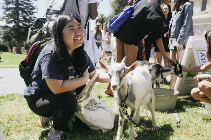 Student smiling and petting a goat