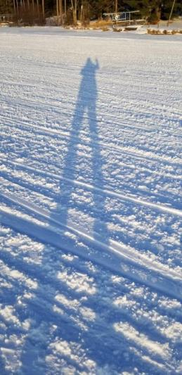 person's shadow in snow