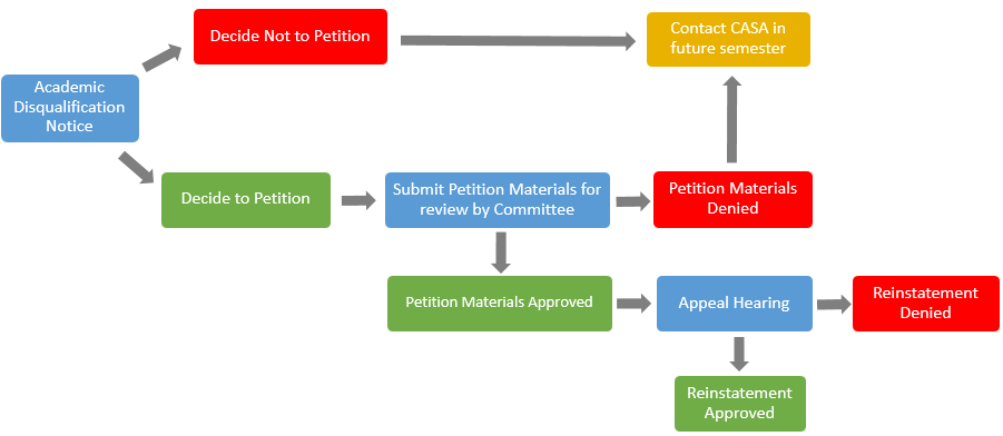 Appeal Process Visual Overview