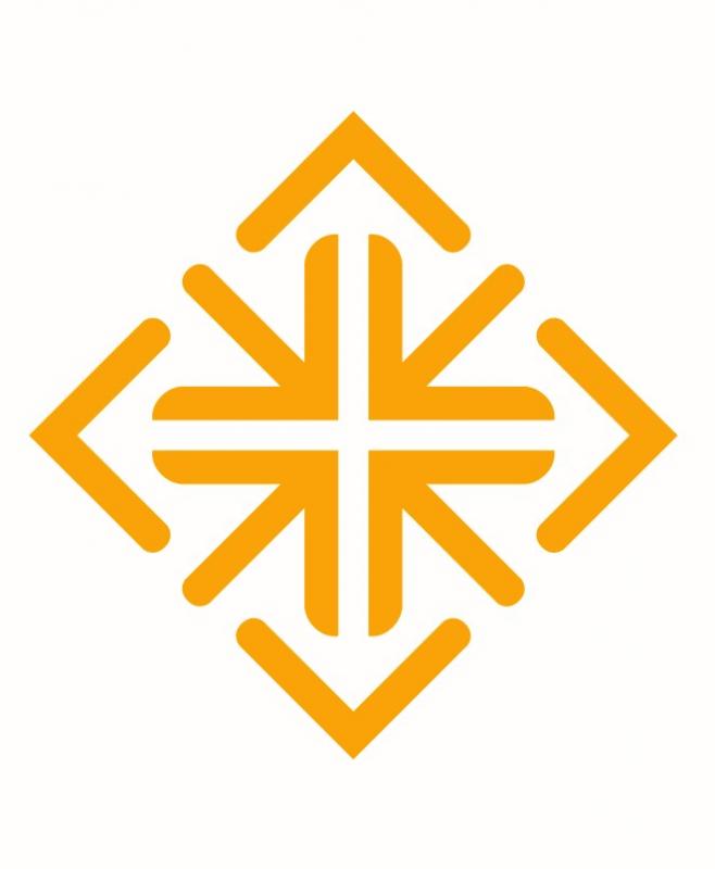 USF Snowflake Logo