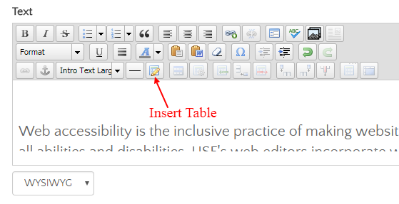 Screenshot of the Insert Table feature in the WYSYWIG editor