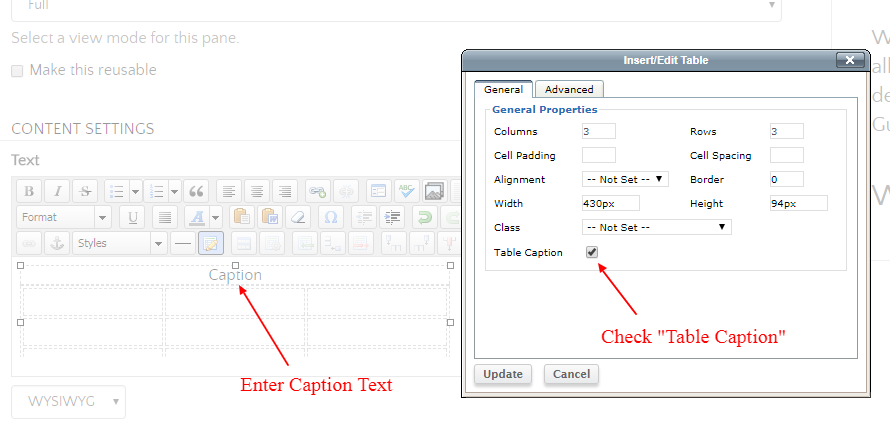 A screenshot demonstrating how to add a caption to a table using the WYSIWYG editor
